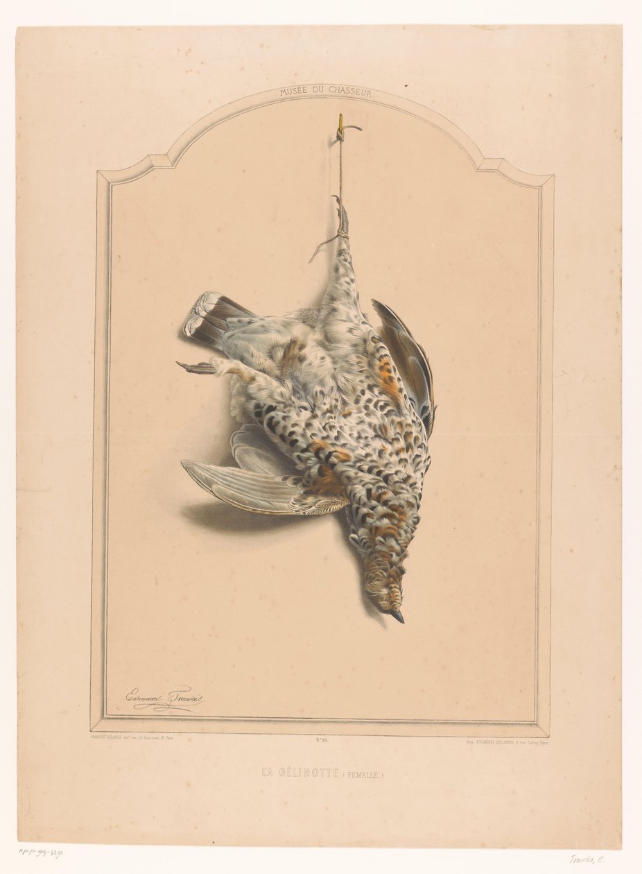 Død halskragefugl som henger på ett ben La gélinotte (kvinne) (tittel på objekt) Museum of the Hunter (serietittel) Musée du chasseur (serietittel på objekt) av Edouard Travies