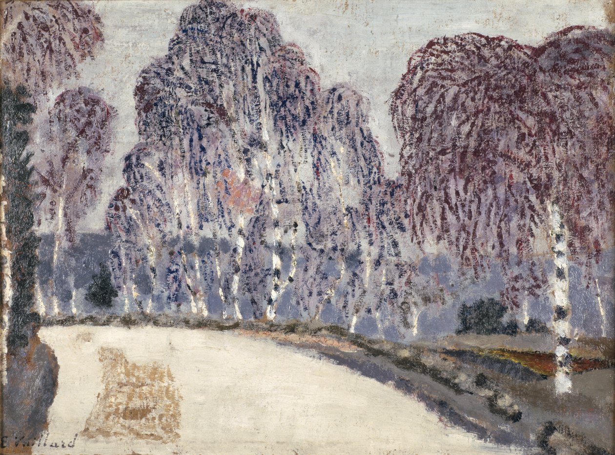 Bjørker ved LEtang-a-la-Ville, 1896 (olje på papp) av Edouard Vuillard