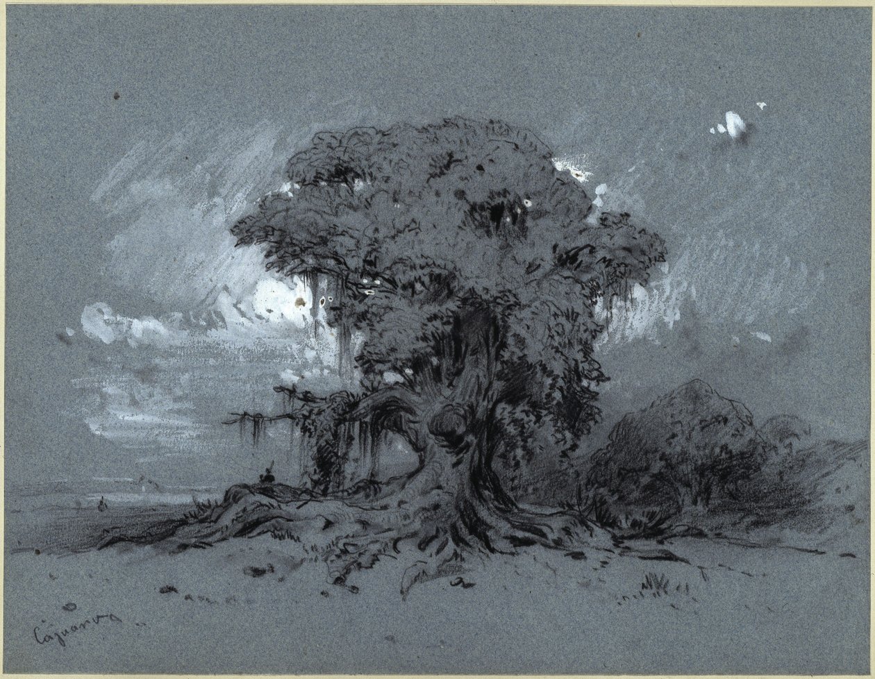 Gammelt tre av Eduard Hildebrandt