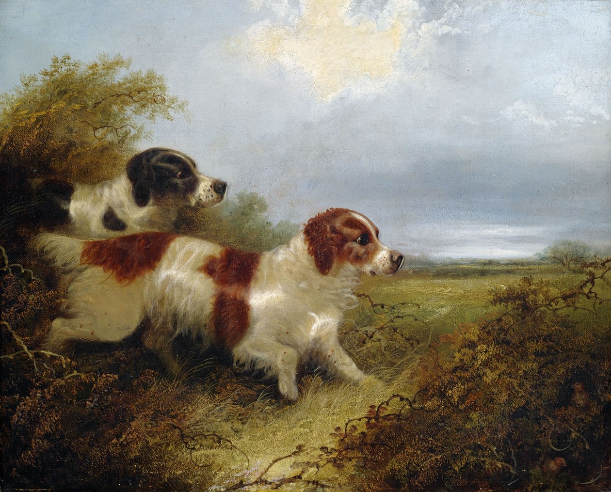 To Terrier av Edward Armfield