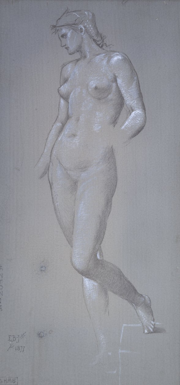 Antonia, 1877 (Sølvpunkt og kroppsfarge på grå preparert grunn) av Edward Burne Jones