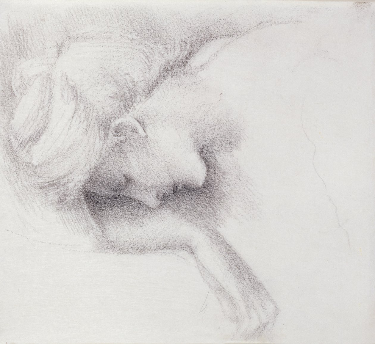 The Garden Court - studie for Briar Rose-serien, 1888 (svart kritt på papir) av Edward Burne Jones