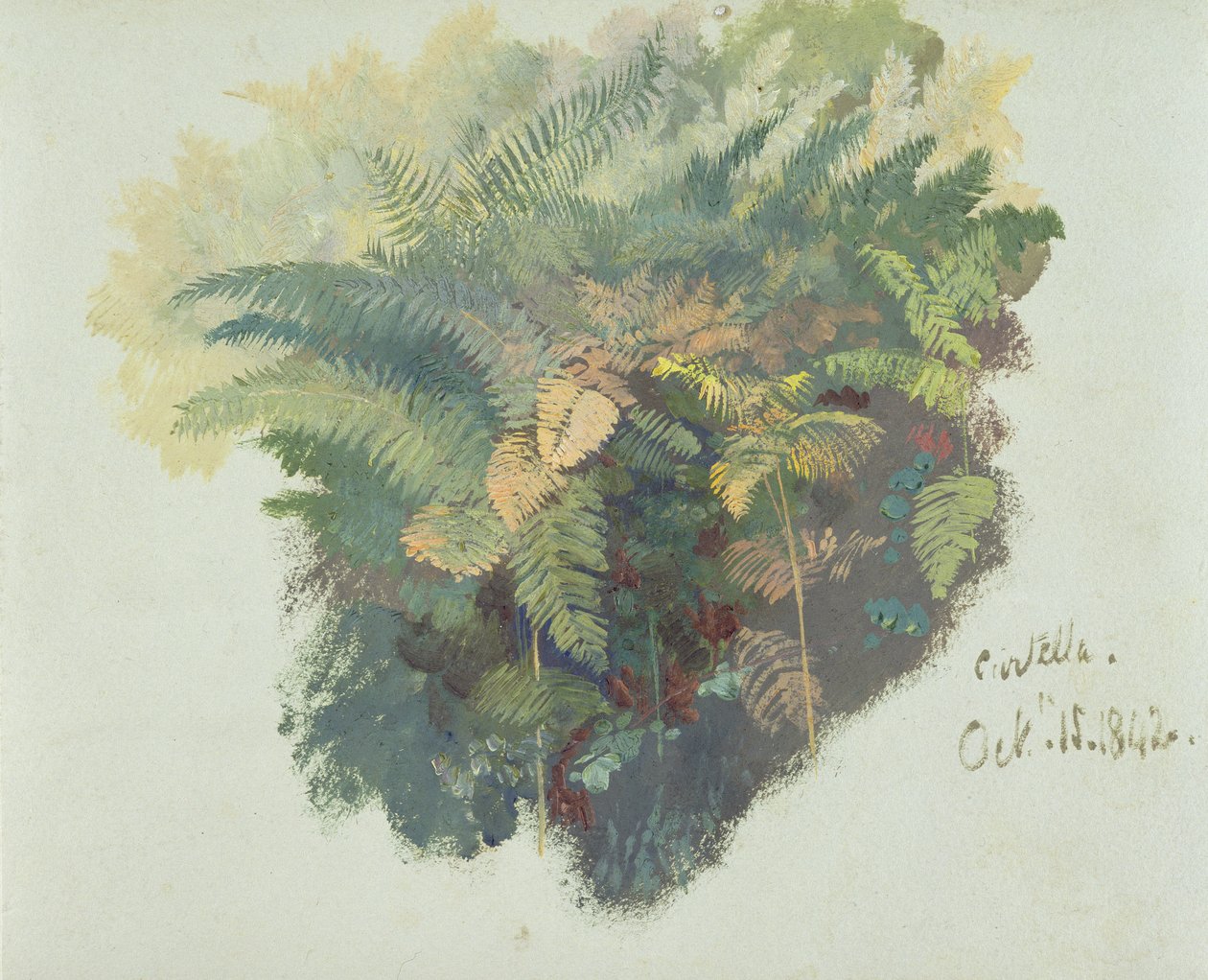 A Study of Ferns, Citivella, 1842, (olje på grått vevd papir) av Edward Lear