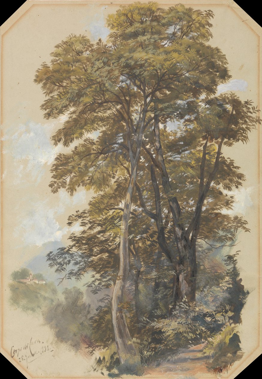 Corps of Cava, 28. juni 1838 av Edward Lear