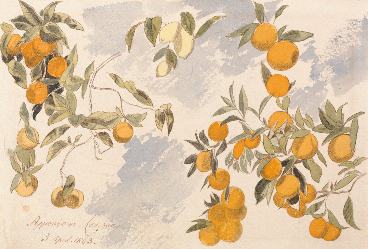 Frukttrær, 3. april 1863 av Edward Lear