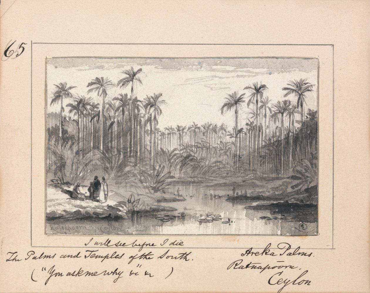 Illustrasjon til Tennysons You Ask Me Why- Areca Palms, Ratnapura, Ceylon av Edward Lear