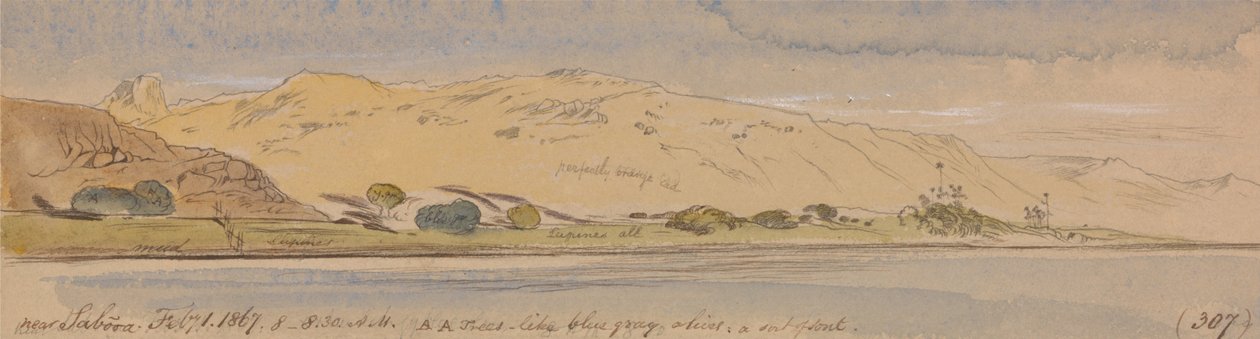 I nærheten av Sabooa av Edward Lear