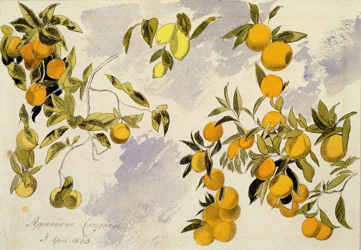 Orange Trees, 1863 (wc, penn og blekk over grafitt på kraftig vevd papir) av Edward Lear