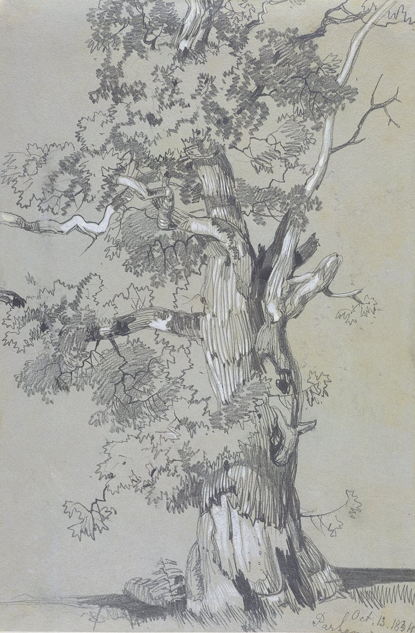 Parham, 13. oktober 1834 (grafitt med hvit gouache på brunt vevd papir) av Edward Lear