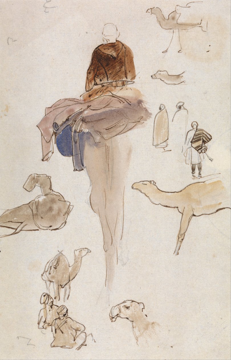 Studier av kameler av Edward Lear