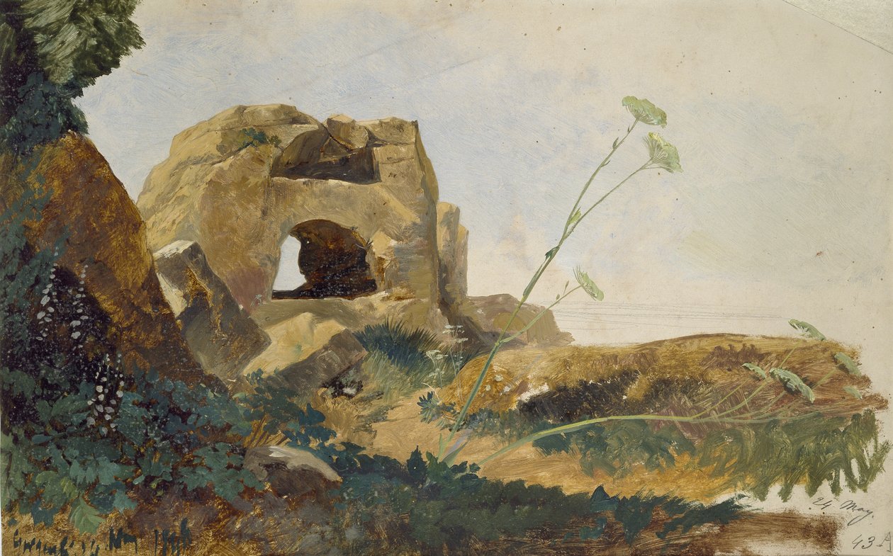 Studie av bergarter og løvverk, Agrigento (Girgenti), Sicilia, 1847 (olje på skinnende off-white papir) av Edward Lear