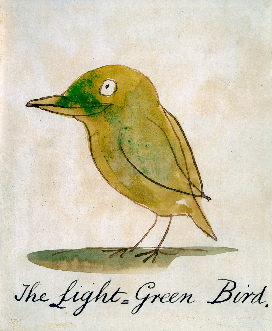 The Light Green Bird, fra 