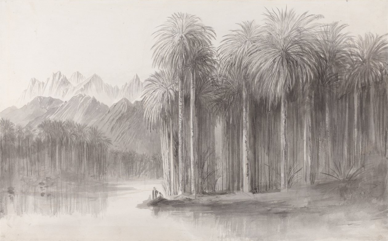 Wady Feiran, Peninsula of Mt. Sinai av Edward Lear