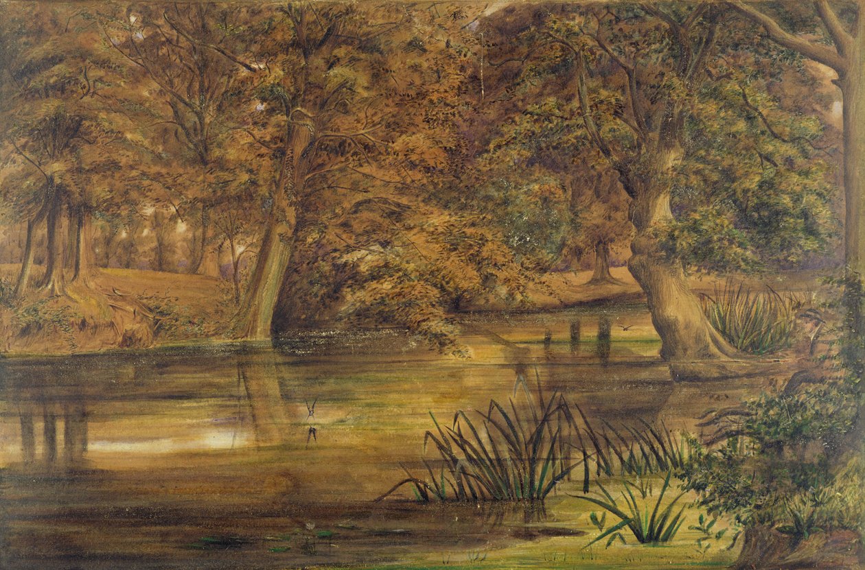 Back Water of the Bratford, 1864 (wc og blyant på papir) av Edward W. Fitch
