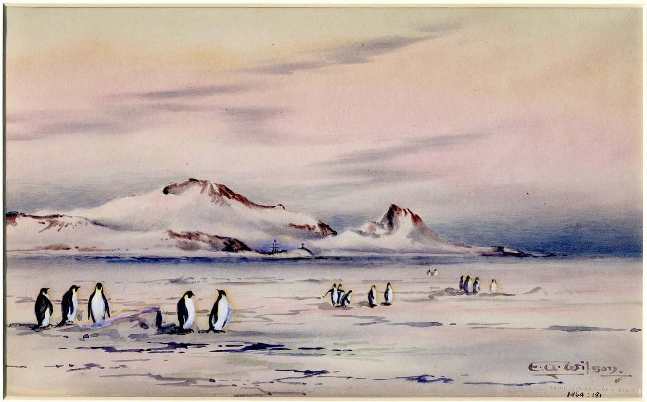 The Discovery Winter Quarters, ca. 1901-04 (wc på papir) av Edward Adrian Wilson