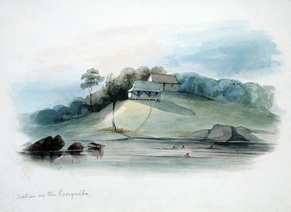Station on the Essequibo, British Guyana, ca. 1840 (akvarell på papir) av Edward Angelo Goodall