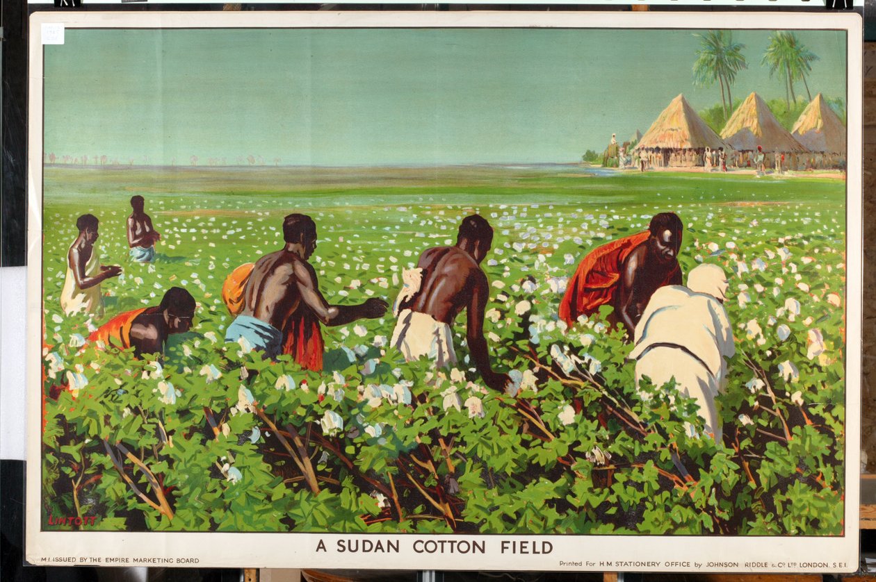 A Sudan Cotton Field, fra serien 'Empire Trade is Growing' (farge litho) av Edward Barnard Lintott