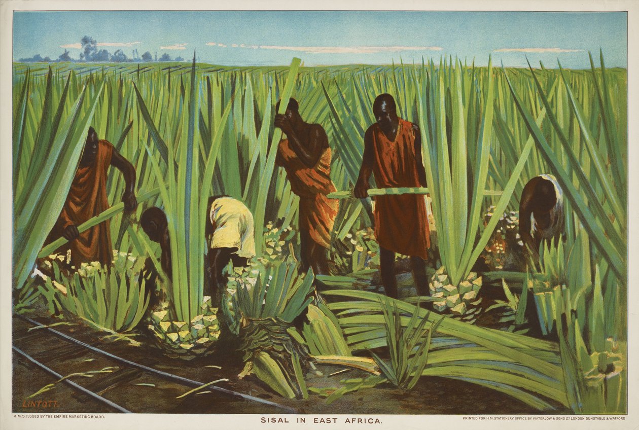 Sisal i Øst-Afrika, fra serien 'Empire Trade is Growing' av Edward Barnard Lintott