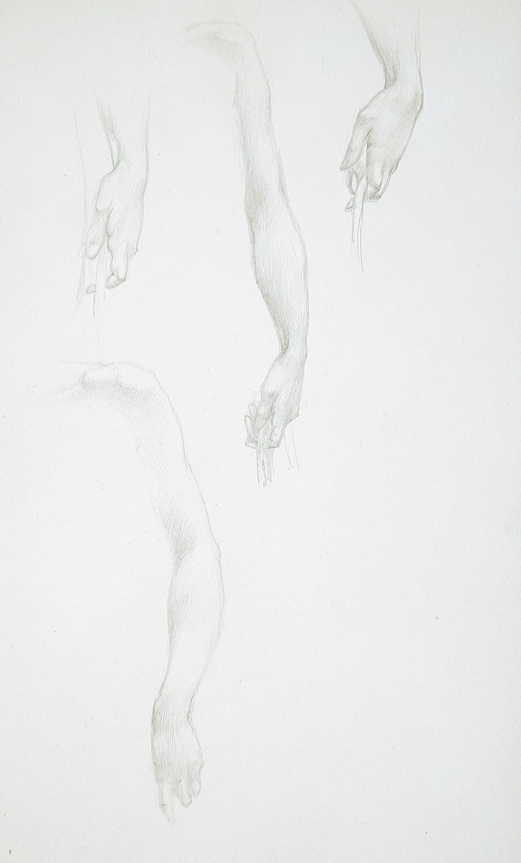 Studier av armer og hender (forsiden); Studie av kvinnelig torso (baksiden) av Edward Burne-Jones