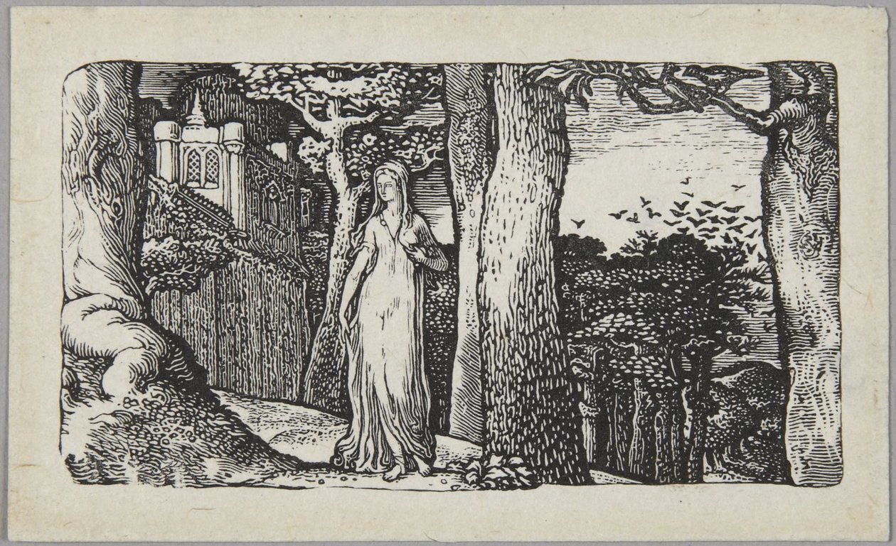 Damen med kornkråkene av Edward Calvert