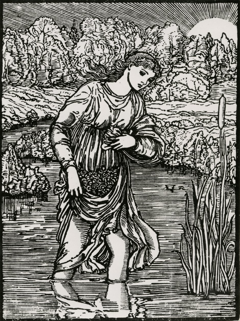 Reeds oppgave av Edward Coley (after) Burne Jones