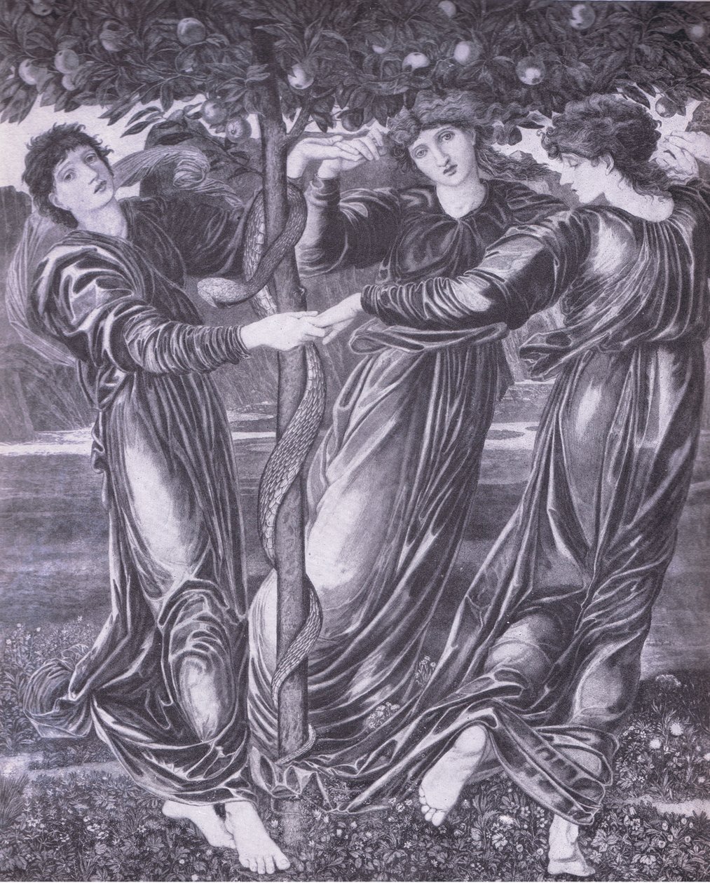 Hagen til Hesperides, Bibby