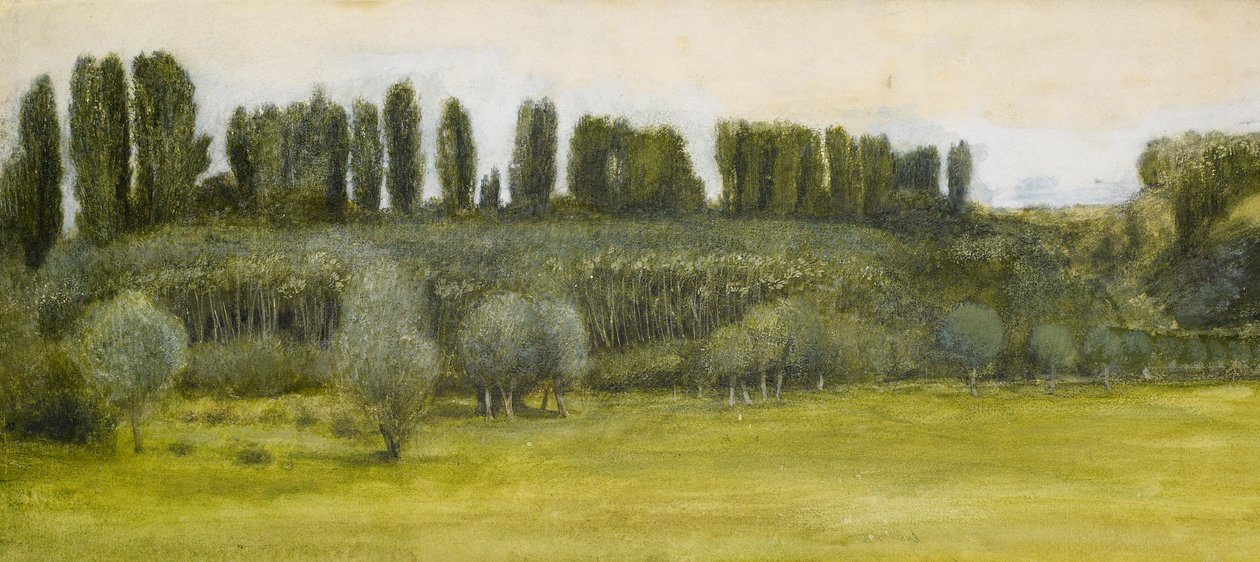 Landskap med piler og poppel, studie av Edward Burne Jones