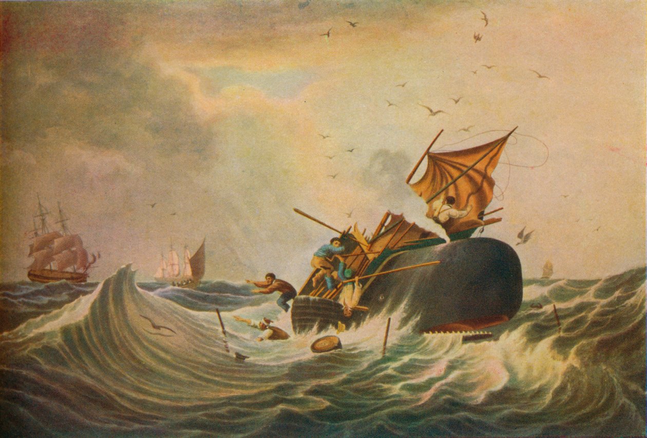 South Sea Whale Fishery, 1836 av Edward Duncan
