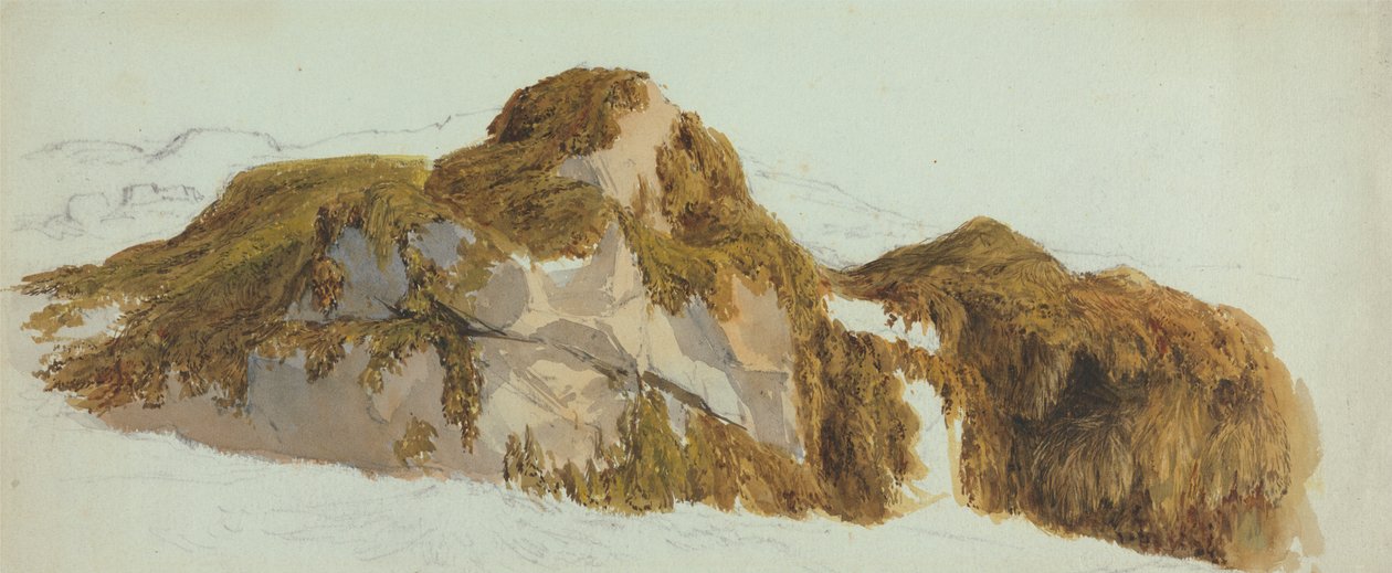 Studie av bergarter dekket med tang av Edward Duncan