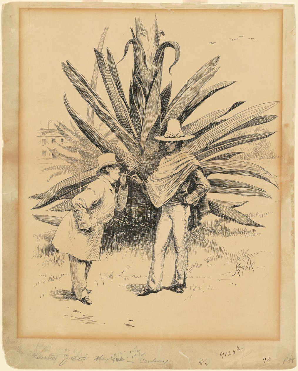 Kaktus fra Mexico av Edward Kemble