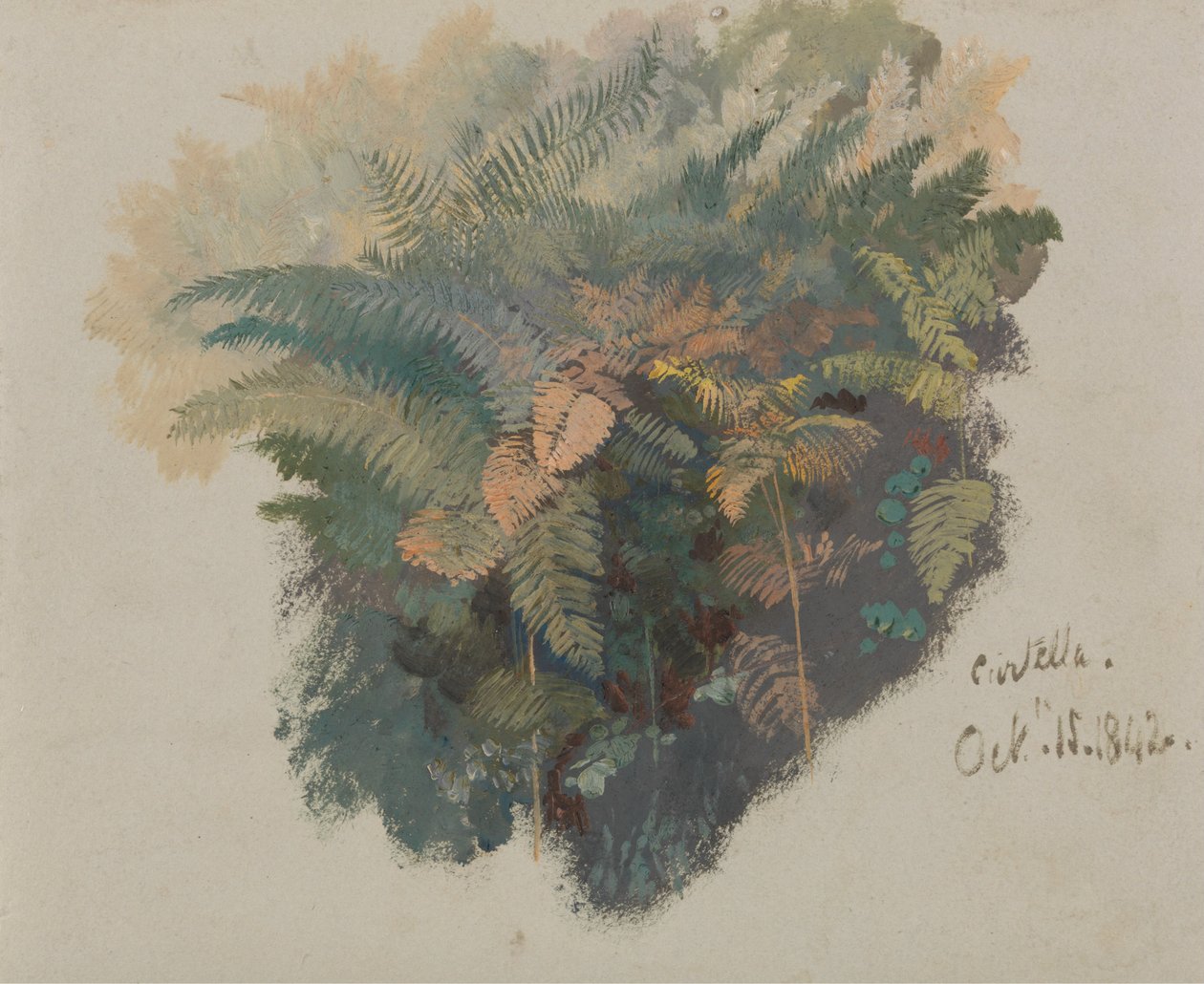  av Edward Lear