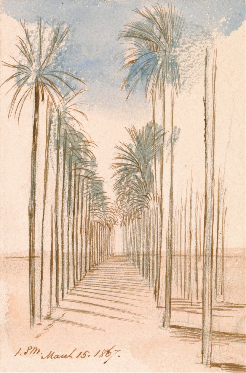  av Edward Lear