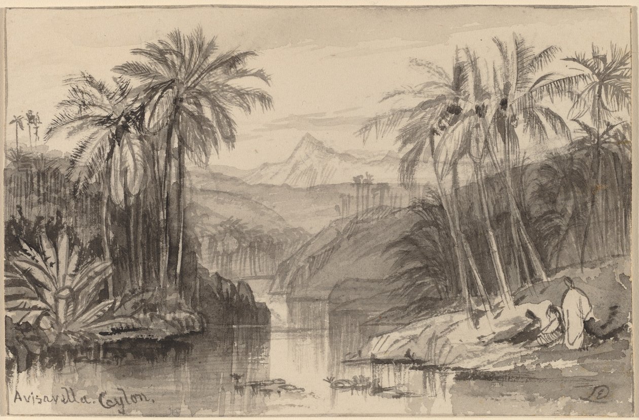 Avisavella, Ceylon av Edward Lear