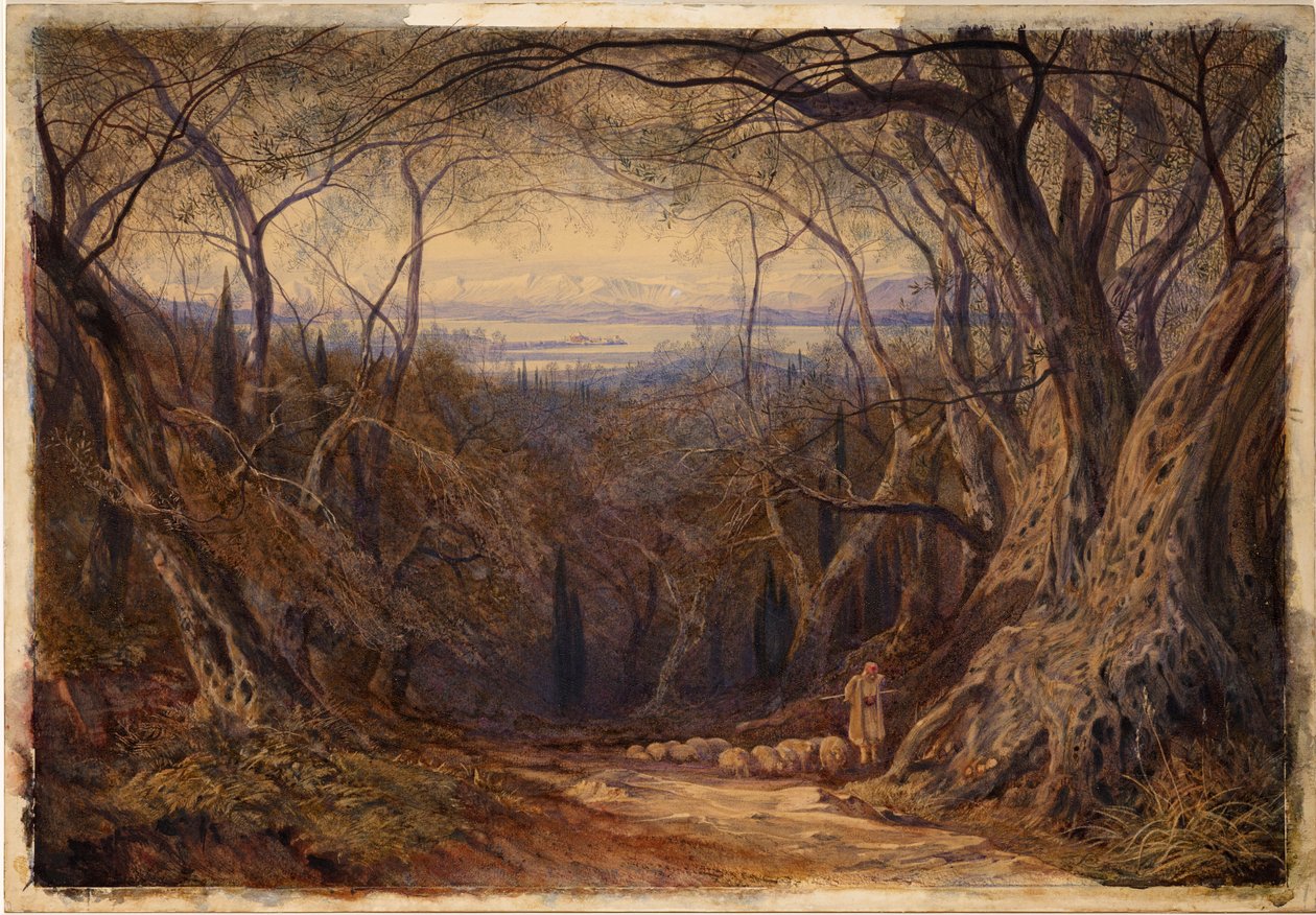 Korfu av Edward Lear