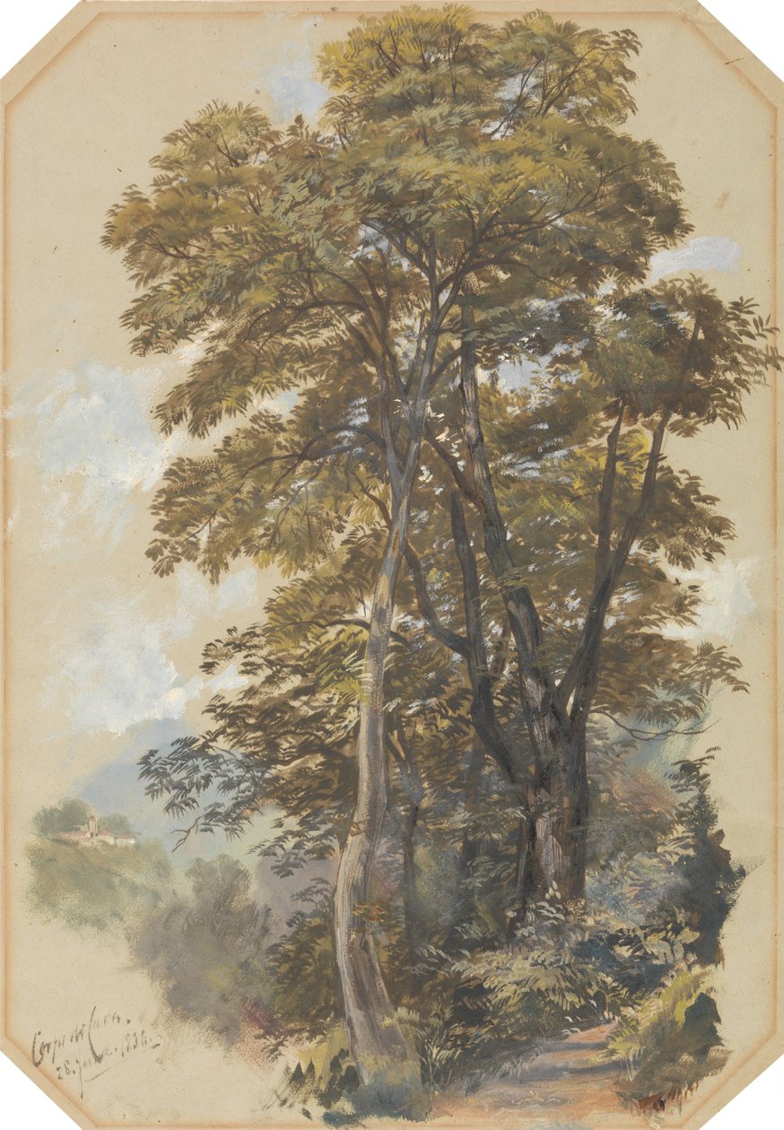 Corpo di Cava, 28. juni 1838 av Edward Lear