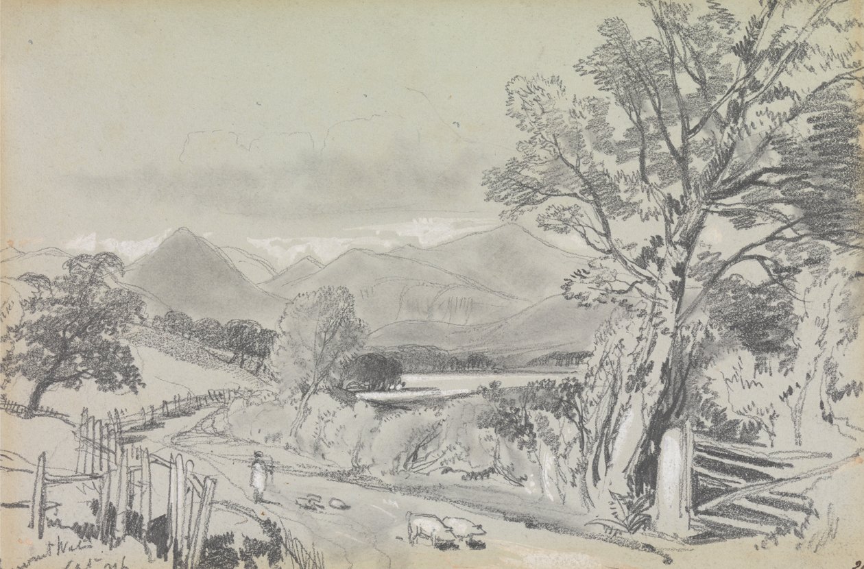  av Edward Lear