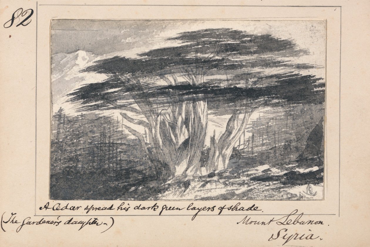 Illustrasjon til Tennysons «The Gardener’s Daughter»: Libanon-fjellet, Syria – «En sedertre bredte ut sine mørkegrønne skyggefulle lag» av Edward Lear