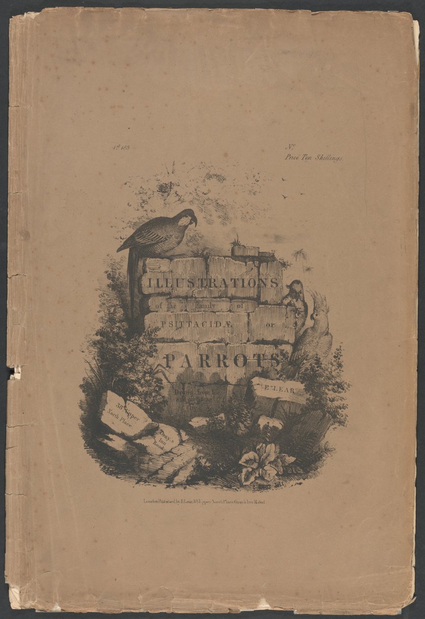 Illustrasjoner av familien Psittacidae, eller papegøyer, del 1: Folioomslag, tittelside, dedikasjonsside, abonnentside av Edward Lear