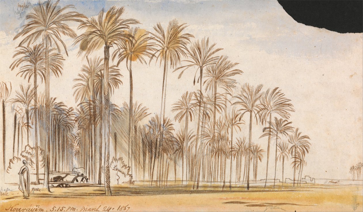  av Edward Lear