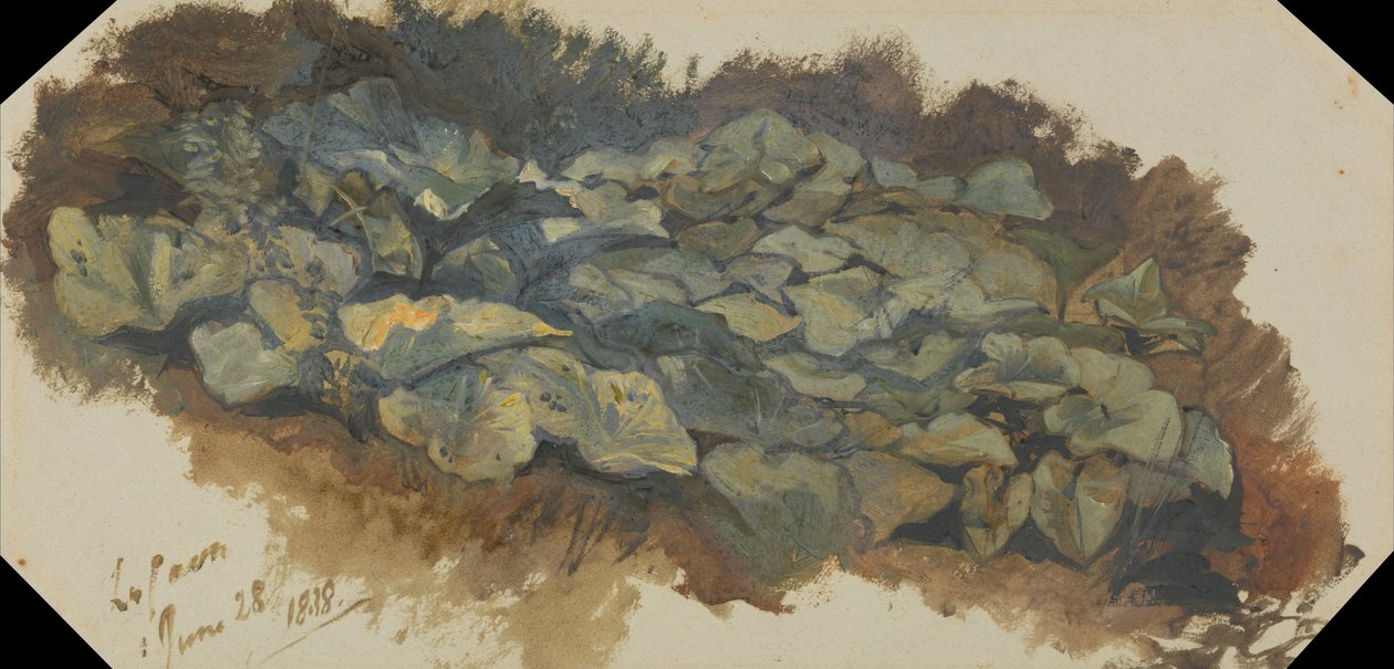  av Edward Lear