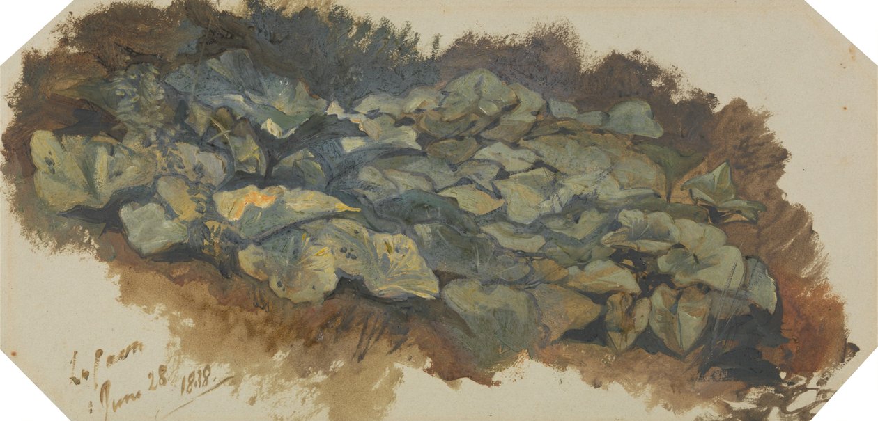 La Cava av Edward Lear