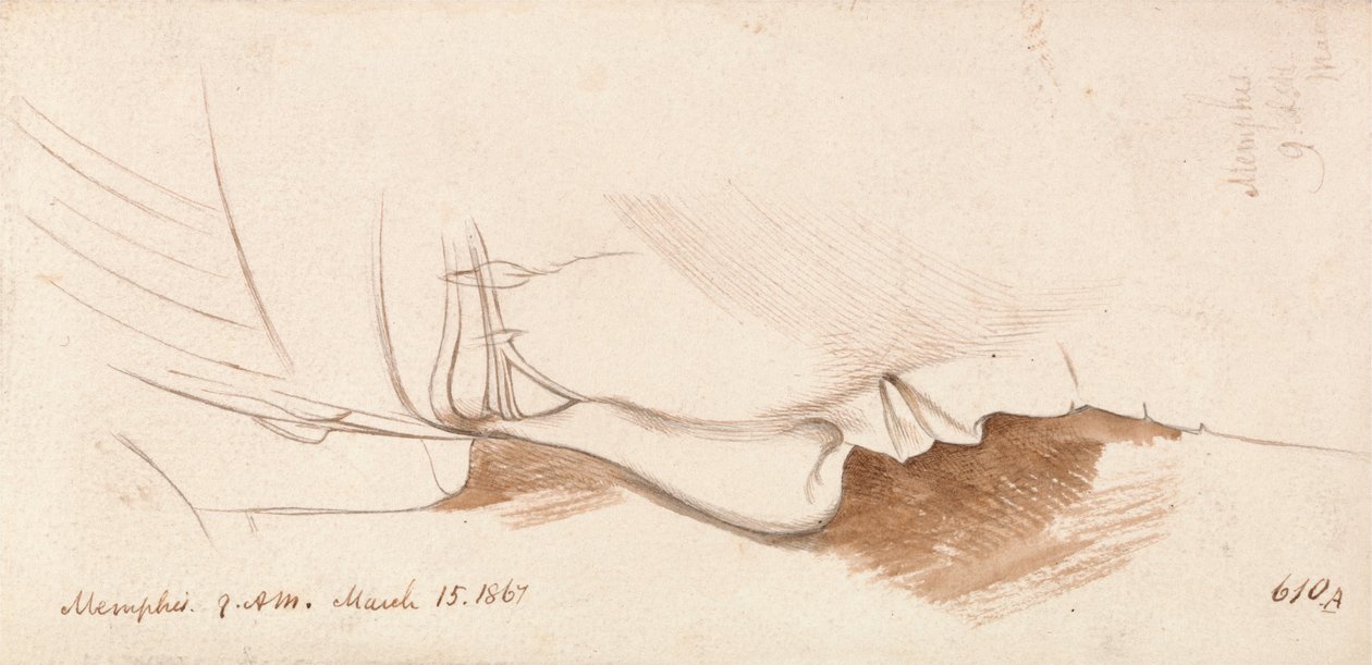  av Edward Lear