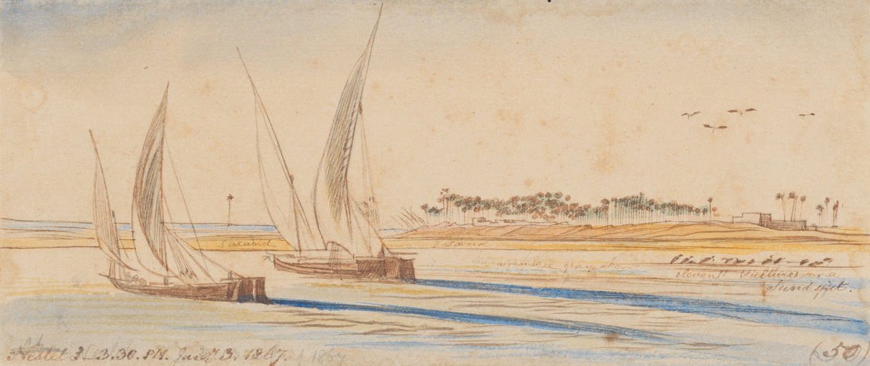 Nestet: 3:30 P.M., 3 Jan. 1867 (50) av Edward Lear