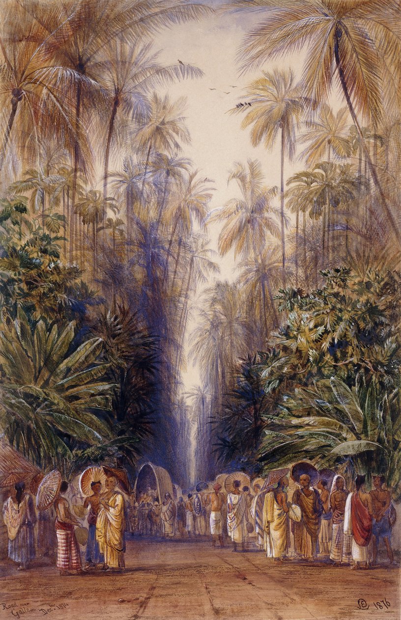 På veien til Galle, Ceylon av Edward Lear