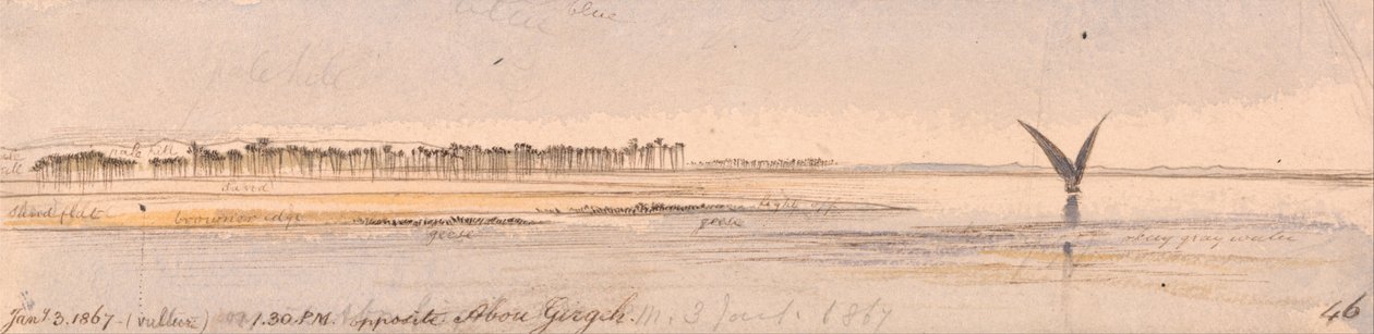  av Edward Lear