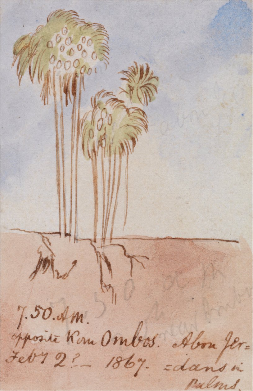  av Edward Lear