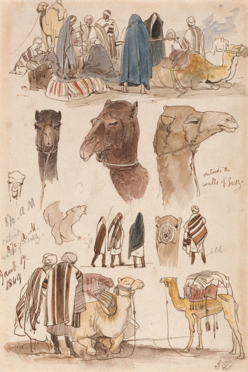 Utenfor murene i Suez, kl. 08.30, 17. januar 1849 (54) av Edward Lear