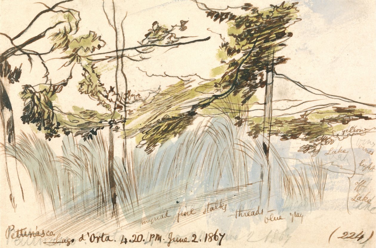  av Edward Lear
