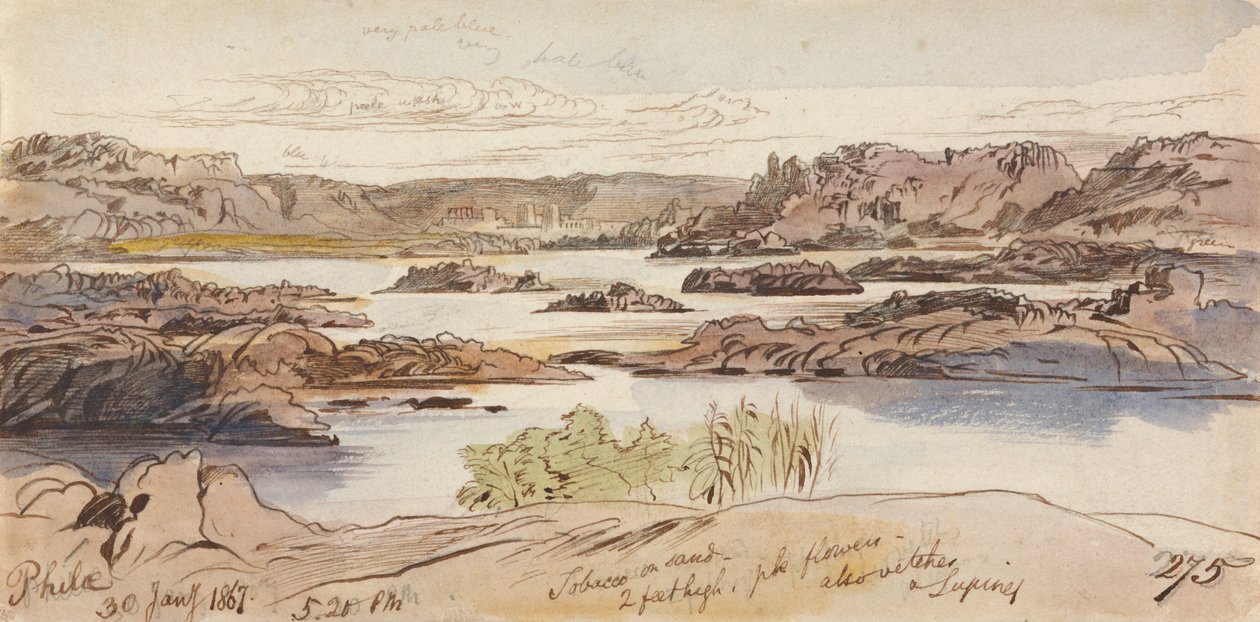  av Edward Lear