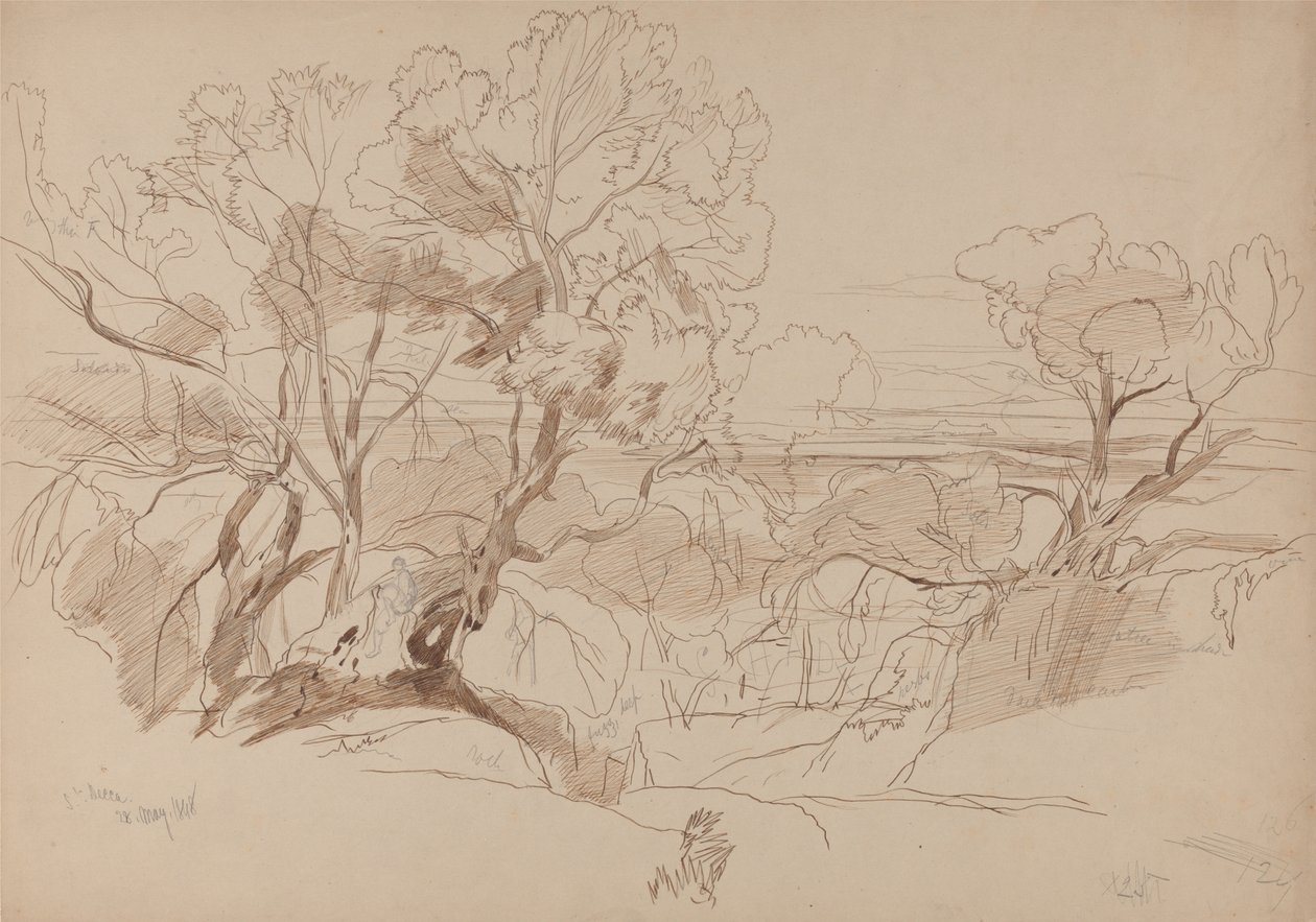  av Edward Lear